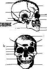 ������� �������� ������, ��� � �����