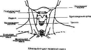 ������� �������� ������, ��� � �����