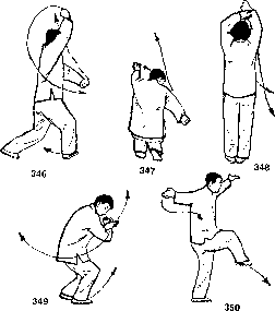 ������ - ��������� ����� ���