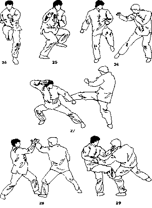 ����� - ����� ����� ���