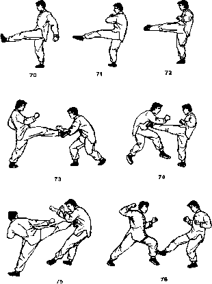 ����� - ����� ����� ���