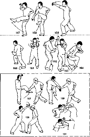 ����� - ����� ����� ���