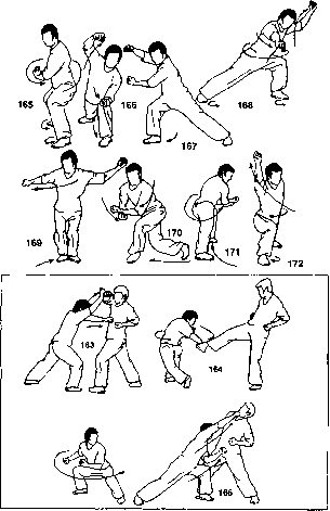 ����� - ����� ����� ���