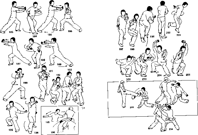 ����� - ����� ����� ���