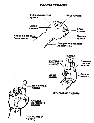 ����� - ����� ����� ���