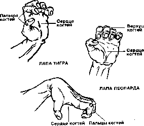 ����� - ����� ����� ���