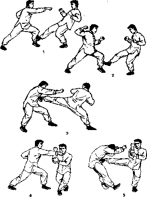 ����� - ����� ����� ���