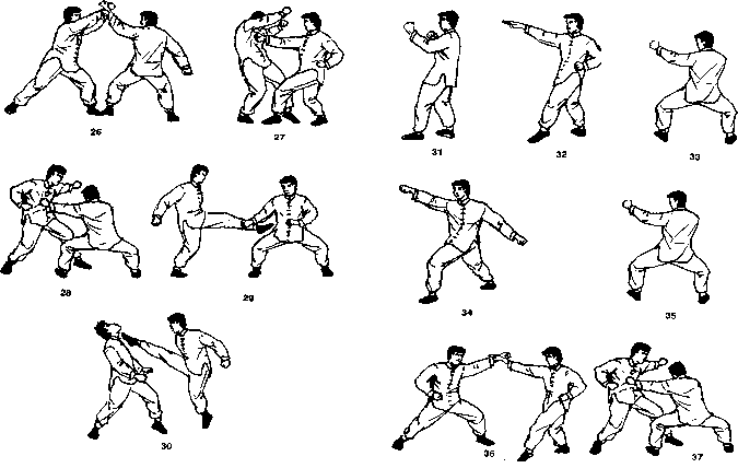 ����� - ����� ����� ���