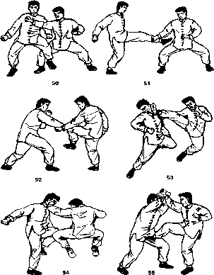 ����� - ����� ����� ���