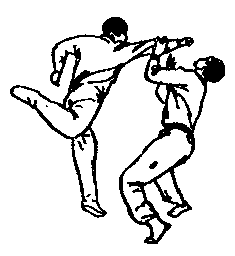 ������ - 64 ������ ����� ������