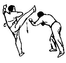 ������ - 64 ������ ����� ������