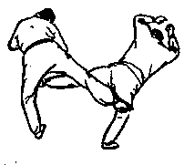 ������ - 64 ������ ����� ������