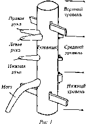 ��� ���� - ������� ��� ����