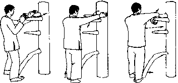 ��� ���� - ������� ��� ����