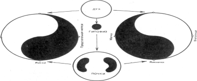 �������� - ����� ���-��