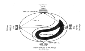 �������� - ����� ���-��