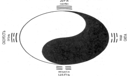 �������� - ����� ���-��