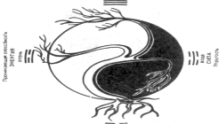 �������� - ����� ���-��