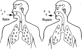 ���-��� - ��������� �����