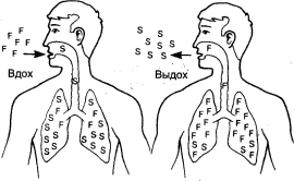 ���-��� - ��������� �����