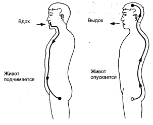 ���-��� - ��������� �����