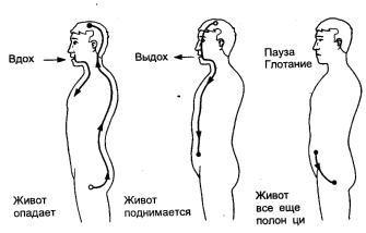 ���-��� - ��������� �����