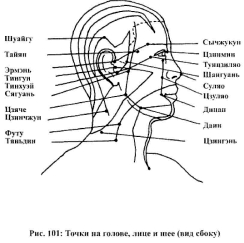 ����� �� - ������������� ������������