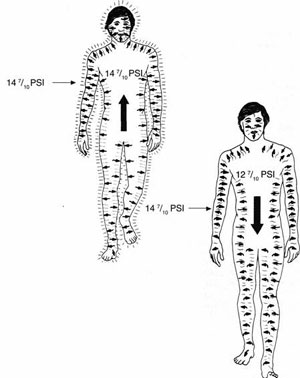 ������ - �������� ����� - ������ ����, ������� ����������� � ������ ����