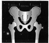 ������ - �������� ����� - ������ ����, ������� ����������� � ������ ����