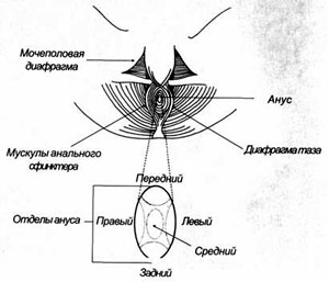 ������ - �������� ����� - ������ ����, ������� ����������� � ������ ����