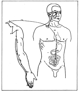 ����� - ������������ ����������� ������������ ��������� -�������