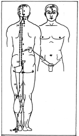 ����� - ������������ ����������� ������������ ��������� -�������