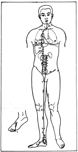 ����� - ������������ ����������� ������������ ��������� -�������