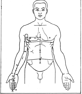 ����� - ������������ ����������� ������������ ��������� -�������