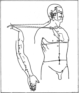 ����� - ������������ ����������� ������������ ��������� -�������