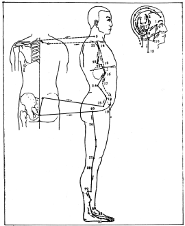 ����� - ������������ ����������� ������������ ��������� -�������