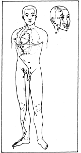 ����� - ������������ ����������� ������������ ��������� -�������