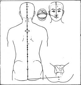 ����� - ������������ ����������� ������������ ��������� -�������