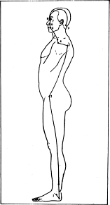 ����� - ������������ ����������� ������������ ��������� -�������