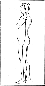 ����� - ������������ ����������� ������������ ��������� -�������