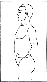 ����� - ������������ ����������� ������������ ��������� -�������