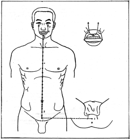 ����� - ������������ ����������� ������������ ��������� -�������