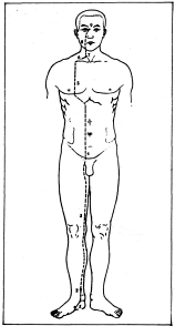 ����� - ������������ ����������� ������������ ��������� -�������