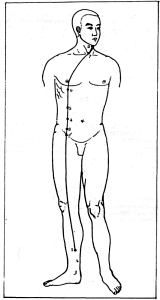 ����� - ������������ ����������� ������������ ��������� -�������