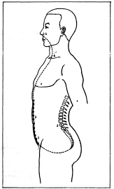 ����� - ������������ ����������� ������������ ��������� -�������