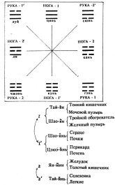 ����� - ������������ ����������� ������������ ��������� -�������