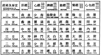 ����� - ������������ ����������� ������������ ��������� -�������