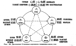 ����� - ������������ ����������� ������������ ��������� -�������