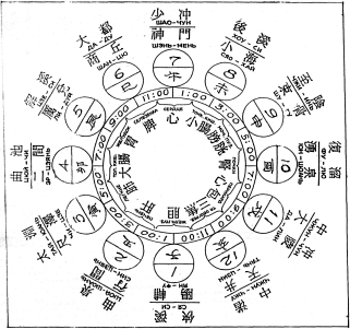 ����� - ������������ ����������� ������������ ��������� -�������