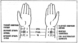 ����� - ������������ ����������� ������������ ��������� -�������